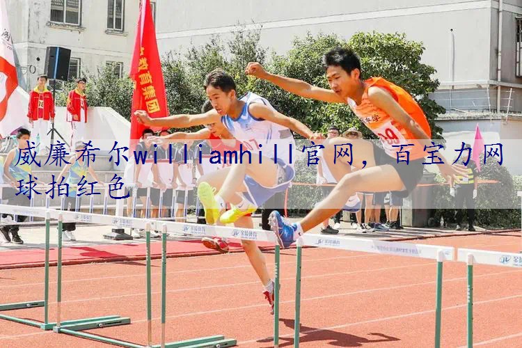 <strong>威廉希尔williamhill官网，百宝力网球拍红色</strong>