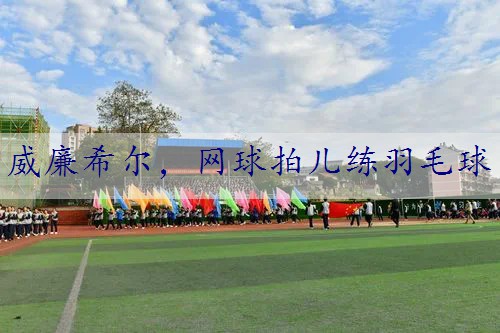 网球拍儿练羽毛球