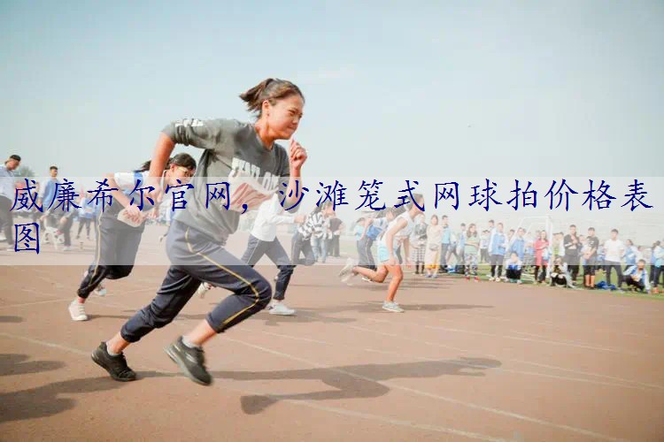 沙滩笼式网球拍价格表图