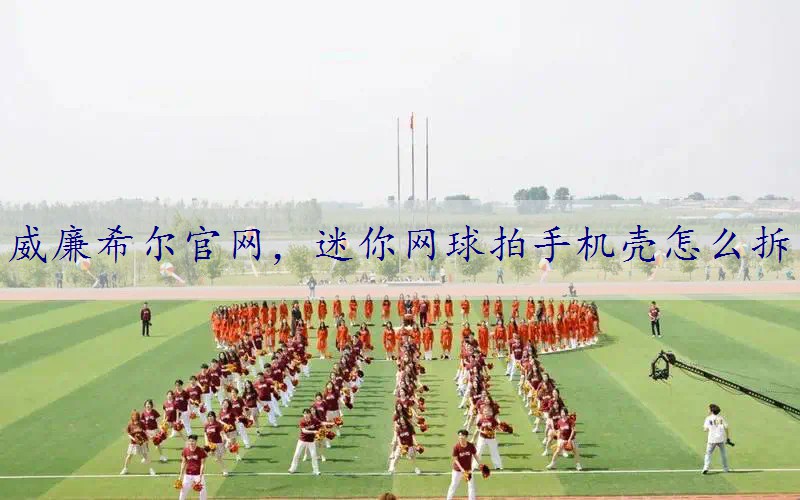 迷你网球拍手机壳怎么拆