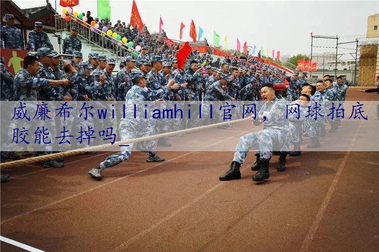 网球拍底胶能去掉吗_