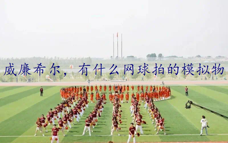 有什么网球拍的模拟物