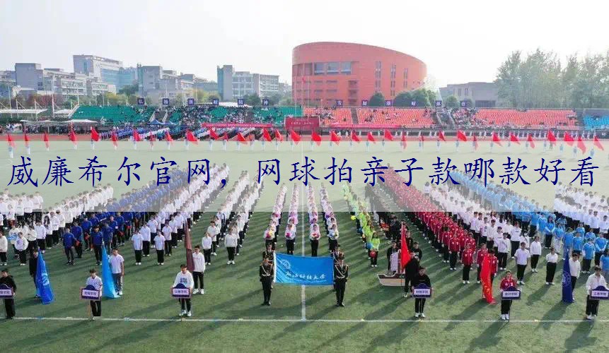 网球拍亲子款哪款好看