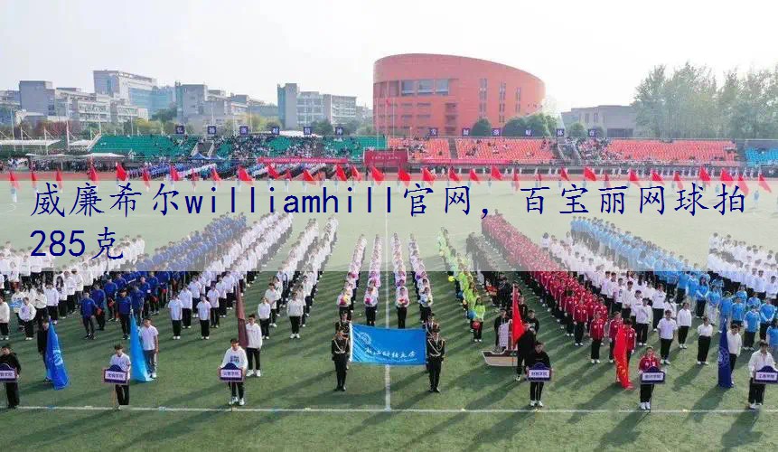 百宝丽网球拍285克