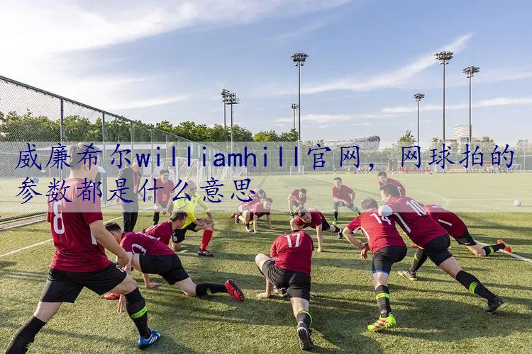 网球拍的参数都是什么意思