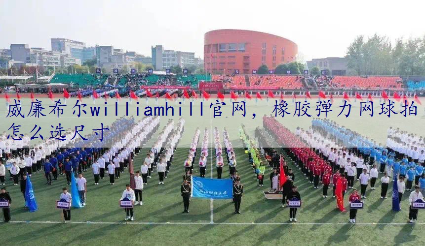 橡胶弹力网球拍怎么选尺寸