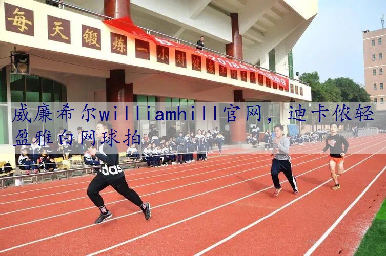 迪卡侬轻盈雅白网球拍