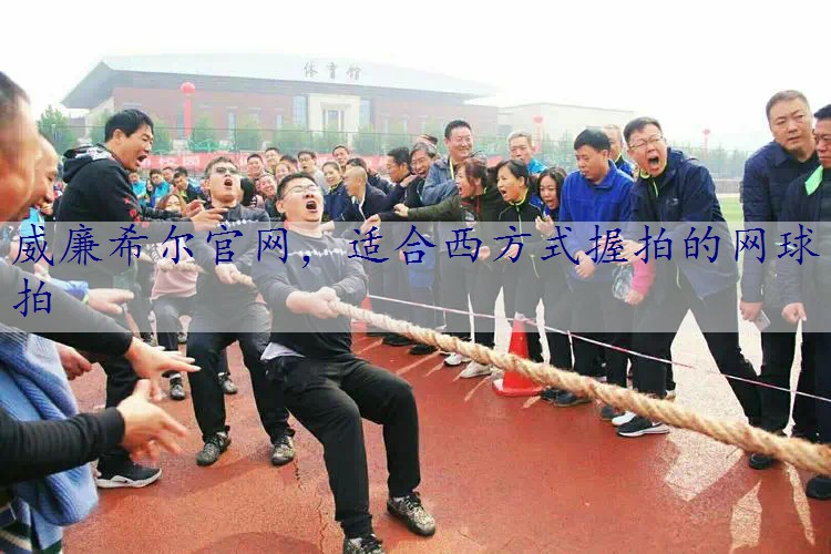 适合西方式握拍的网球拍