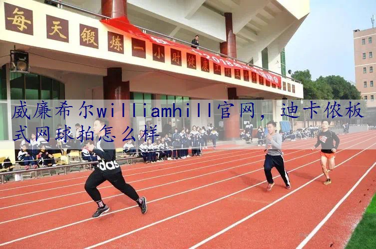迪卡侬板式网球拍怎么样