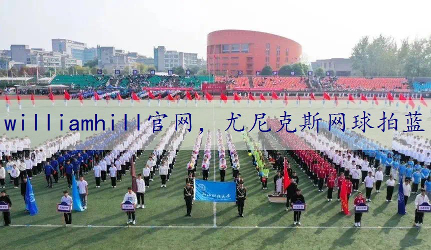 尤尼克斯网球拍蓝