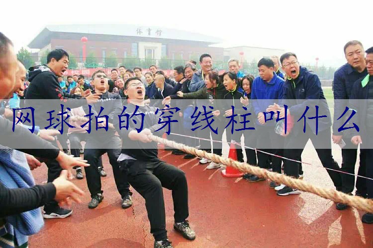 网球拍的穿线柱叫什么