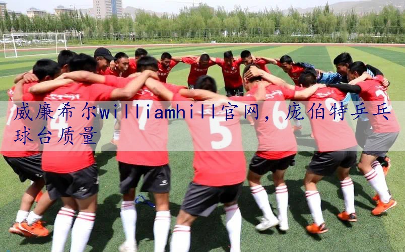 庞伯特乒乓球台质量