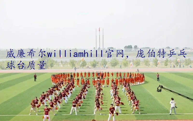 庞伯特乒乓球台质量
