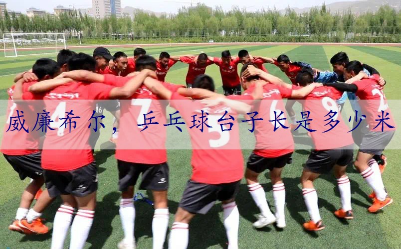 乒乓球台子长是多少米