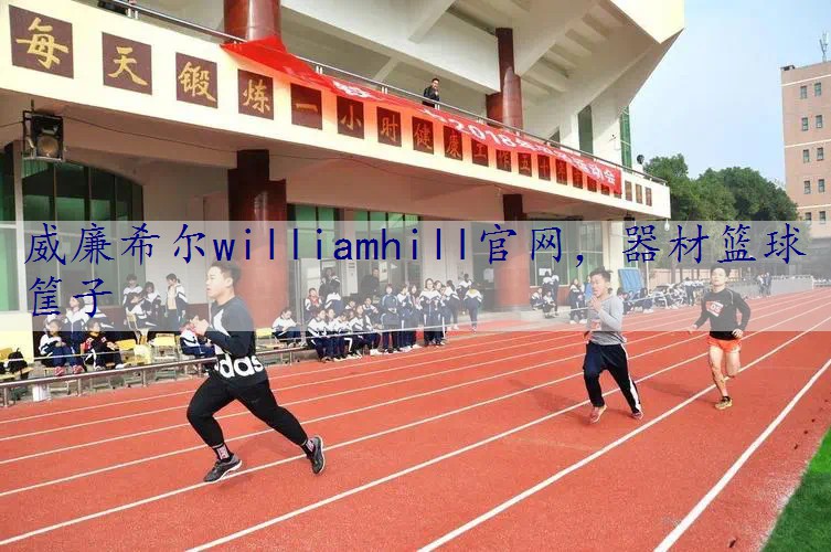 器材篮球筐子