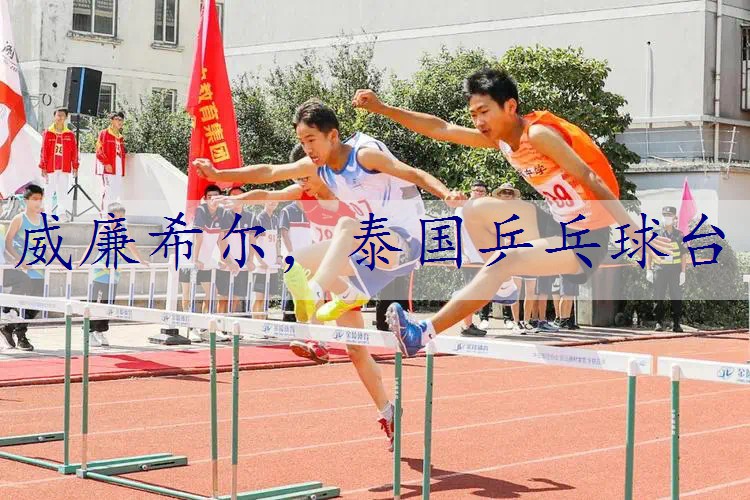 泰国乒乓球台