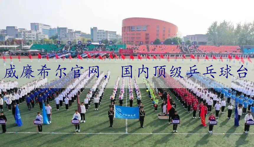 国内顶级乒乓球台