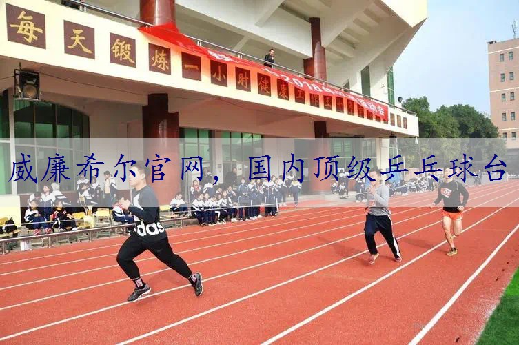 国内顶级乒乓球台