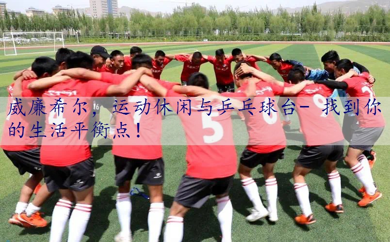 运动休闲与乒乓球台- 找到你的生活平衡点！